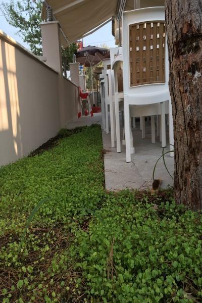 Vira Hotel 달리안 외부 사진